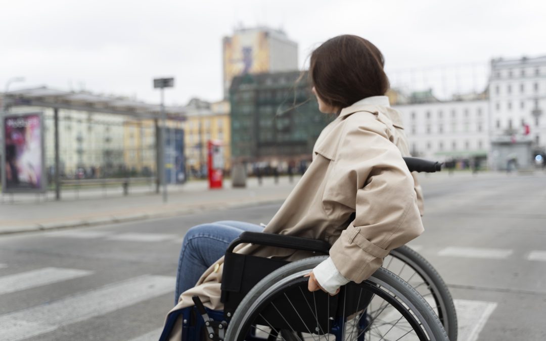 Statistics on Disability: Developments and Challenges